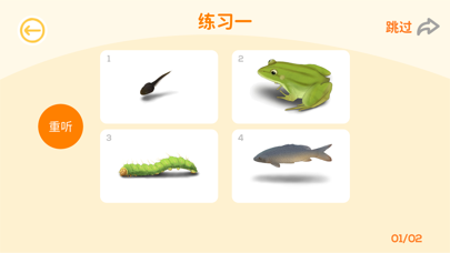 丽娃语言测试