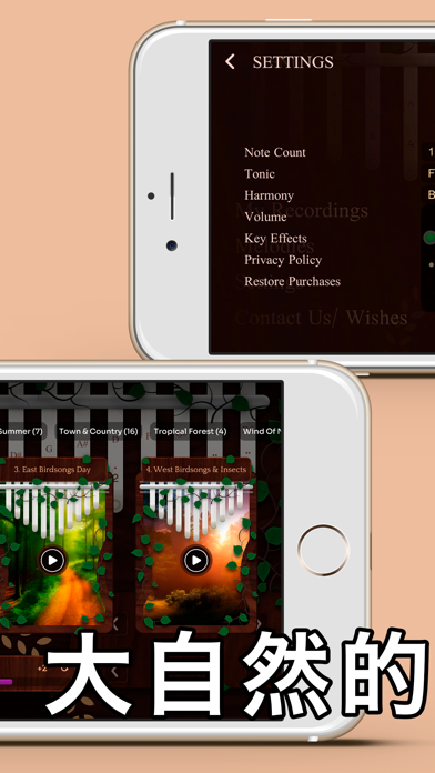 我的卡林巴 - 放松冥想