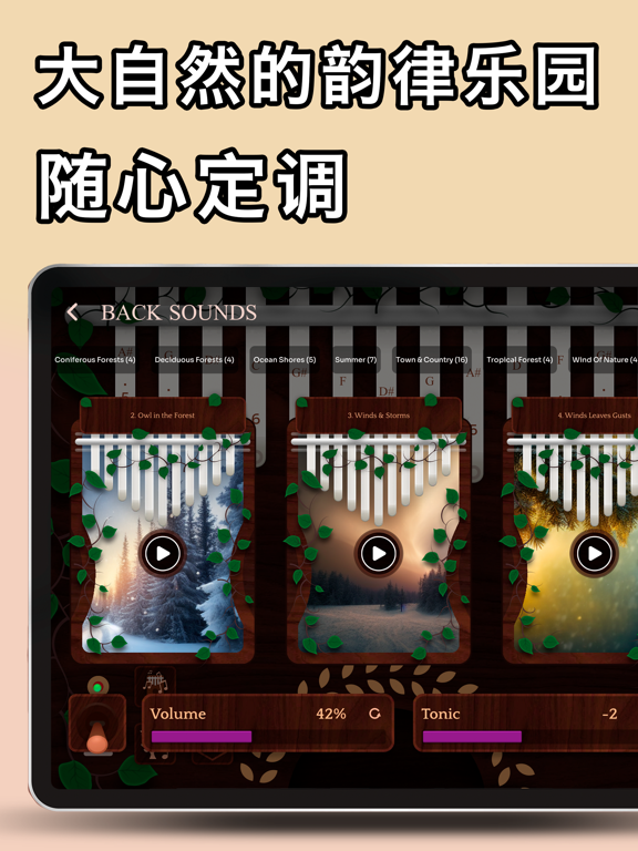 我的卡林巴 - 放松冥想