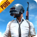 PUBG地铁逃生测试服(BETA PUBG MOBILE)v3.4.4 安卓版