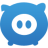 webpig小猪采集器下载v2.6.9.4 官方免费版