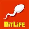 bitlife人生模拟v3.9.9 安卓版