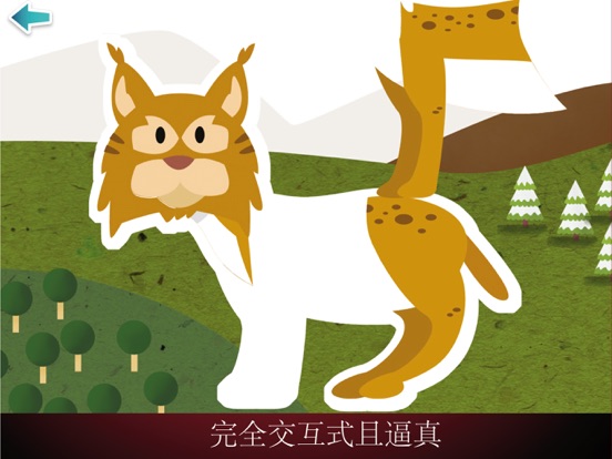 我的第一本世界地图集