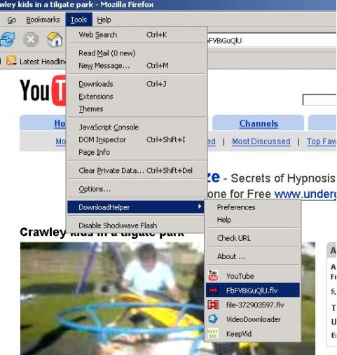 火狐浏览器视频下载插件下载v6.3.1 最新版
