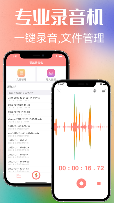 鹦鹉录音机