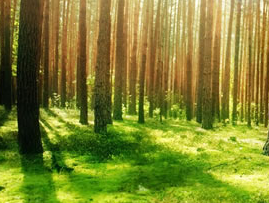 jpg图片压缩器下载v2.0 简体中文版