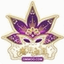 魔法桌面美化王下载v5.1.9 最新安装版