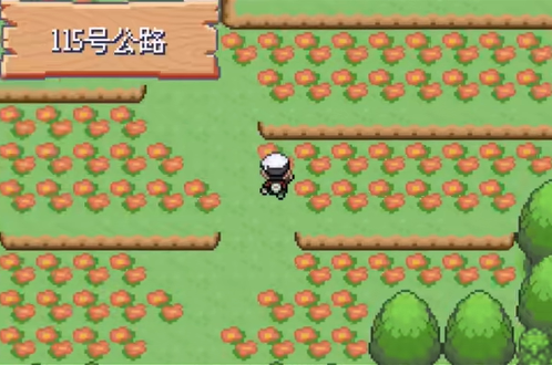 口袋妖怪珍珠手机版v6.3.1 最新版