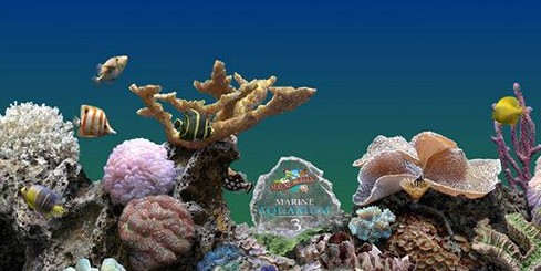 热带鱼屏幕保护下载v3.3.6041 汉化免费版