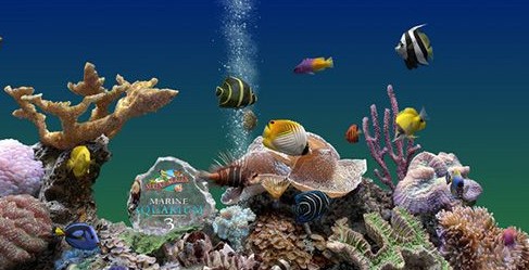 热带鱼屏幕保护下载v3.3.6041 汉化免费版