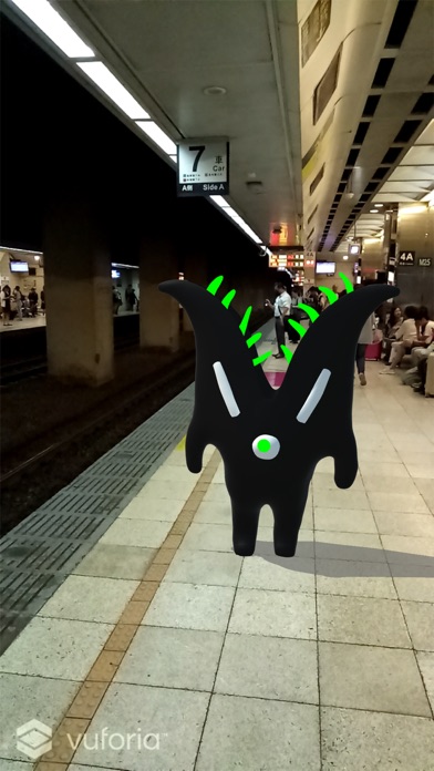 黑青Black and Blue Cosmos