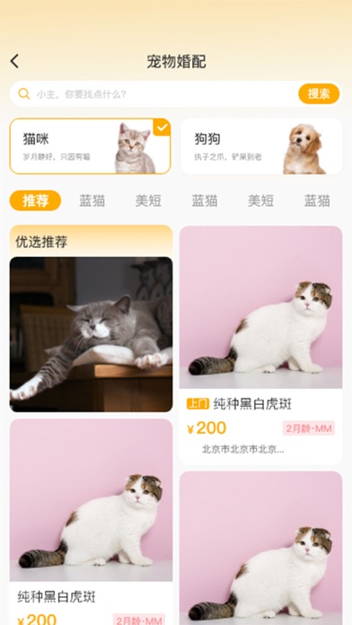 喵鑫球宠物