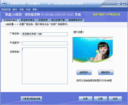 系统美化专家修改版下载v19.6.0 绿色版
