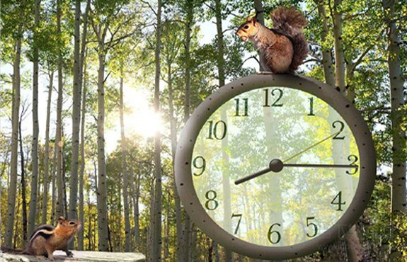 松鼠时钟屏保程序最新版下载v2.1 绿色版