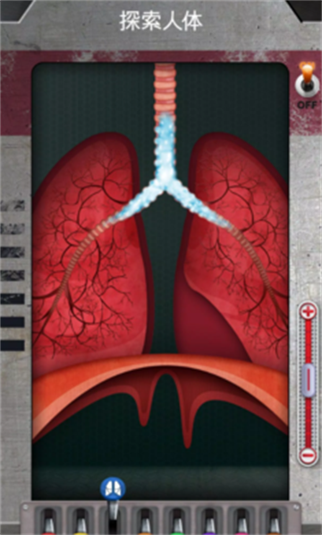 人体是如何运作的手游最新版