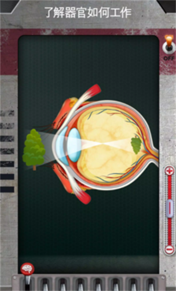 人体是如何运作的手游最新版