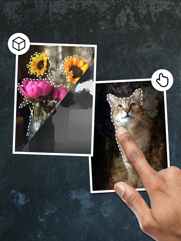 Distressed FX : 照片编辑器