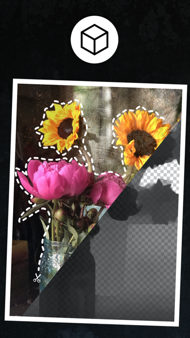 Distressed FX : 照片编辑器