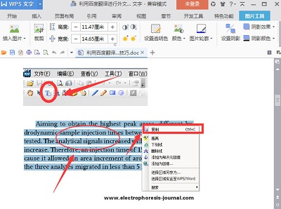 百度翻译文献翻译技巧