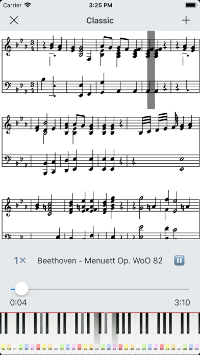 MusicTT - 音乐学习