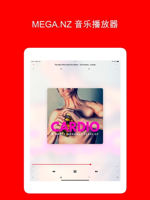 MPlayer: MEGA.NZ 的音频播放器