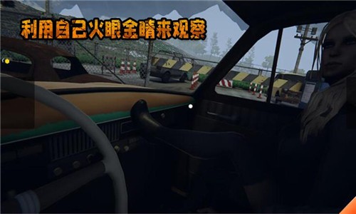 边境检察官最新版下载v1