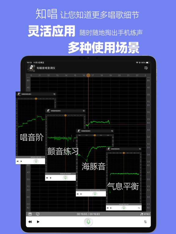 知唱音域音调仪