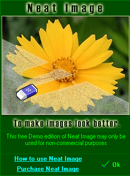 neat image图片降噪软件下载v5.6 安装版