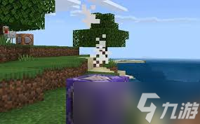 我的世界基岩版粒子效果代码有哪些