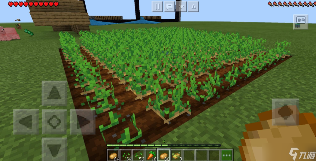 我的世界村庄作物有哪些