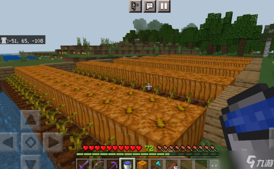 我的世界村庄作物有哪些