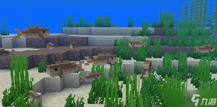 我的世界鳕鱼特性是什么