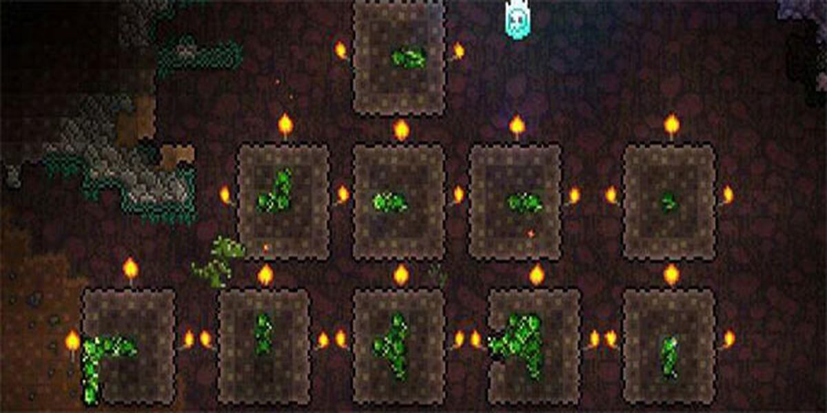 泰拉瑞亚皮皮蛙手机版手游免费下载v1.4.4.9.6安卓版