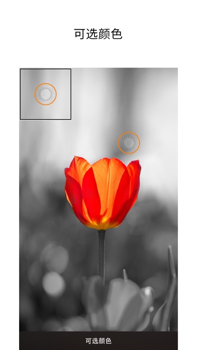 PICSPLAY Classic 照片编辑