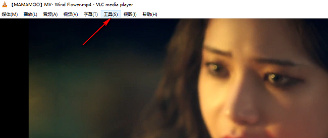 VLC媒体播放器显示播放信息方法_VLC播放信息教程