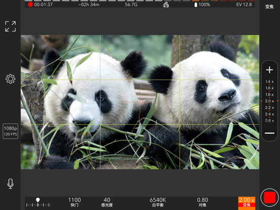 ProMovie + 专业摄像机