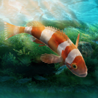 水族馆设计师游戏v1.0.0 最新版