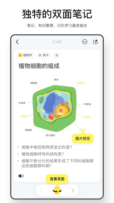 闪卡 - 复习备考、学霸笔记