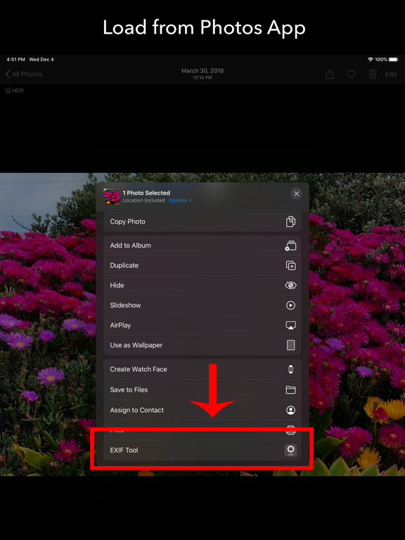 EXIF Tool - 元数据工具
