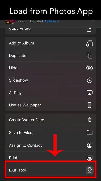 EXIF Tool - 元数据工具