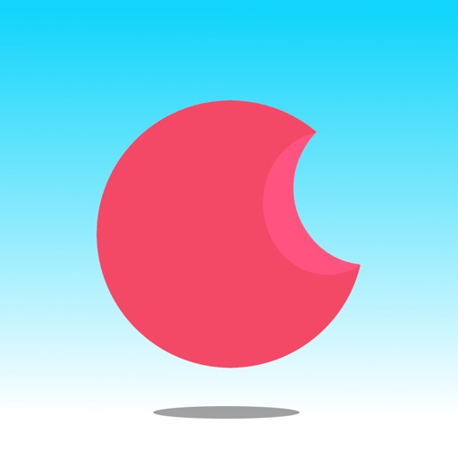 烧饼日语: JLPT日语能力考试备考题库