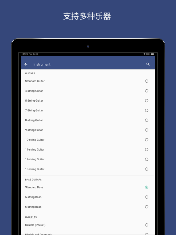 临吉他调谐器 - Pro Guitar Tuner