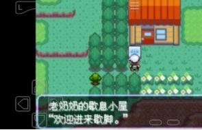 口袋妖怪刽曜之影完整版