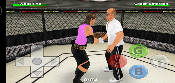 摔跤战士内置菜单下载v1.160