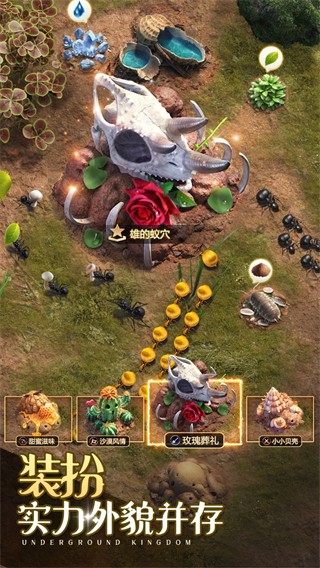 小小蚁国下载v3.0.60 安卓版