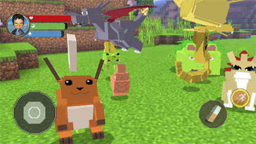 萌宠收集求生下载v1.0 安卓版