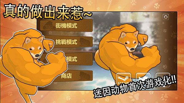 动物之斗免广告下载v1.0.2