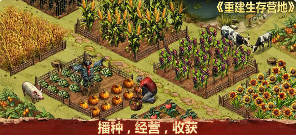 重建生存营地无限钻石下载v1.1.69