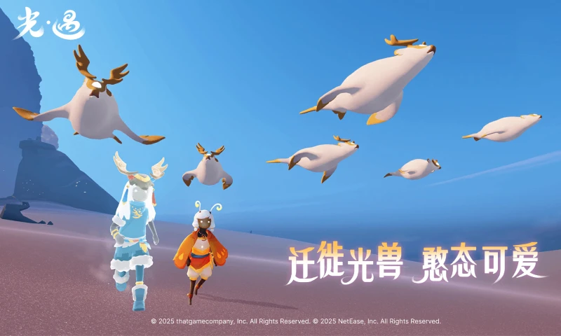 鸿蒙版【光·遇】官方下载_光·遇鸿蒙手机APP免费下载