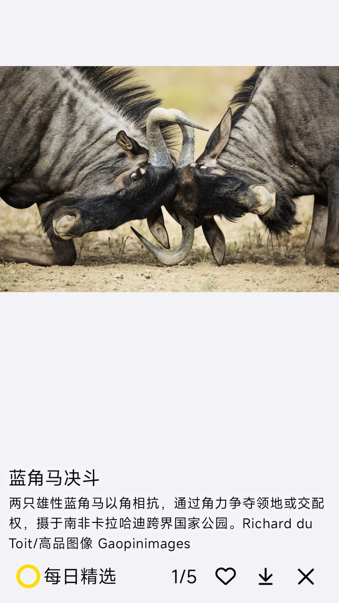 鸿蒙版【每日精选】官方下载_每日精选鸿蒙手机APP免费下载